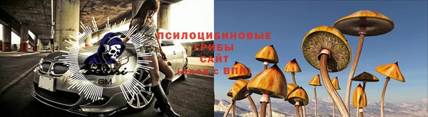 скорость Михайловск