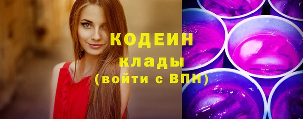 гашик Надым