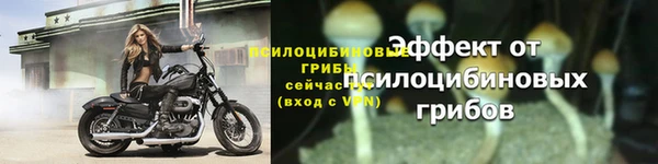 дмт Михайловка