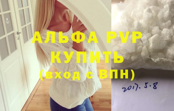 гашик Надым